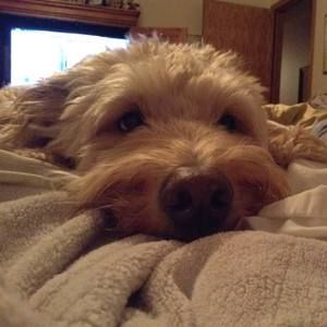 Meet your Posher, Leyton